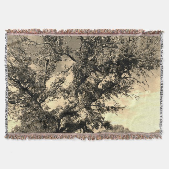 KUNST UND DESIGN VON BLANKET DECKE (Vorderseite)