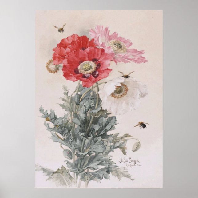 Kunst von Paul-De-Longpre, Poppies und Bienen Poster (Vorne)