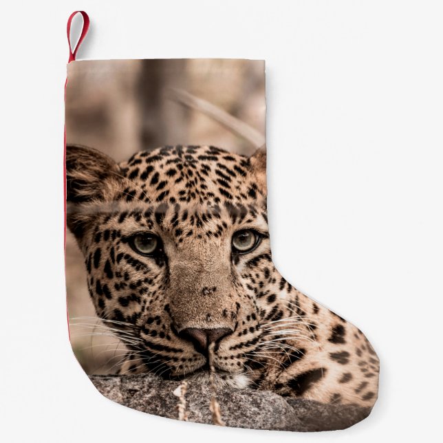 Kunstbild männlicher Leoparden oder Panther Kleiner Weihnachtsstrumpf (Vorderseite)