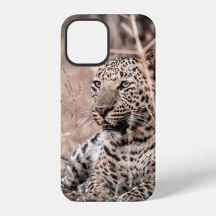 Kunstbild von Großem wilden männlichen Leopard ode iPhone 12 Hülle