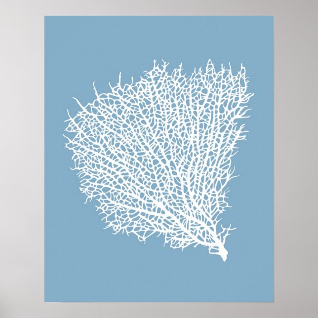 Kunstdruck des weißen Korallenfächers auf hellblau Poster (Vorne)