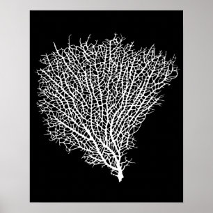 Kunstdruck des weißen Korallenfans Poster