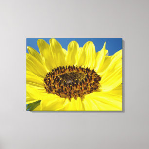 Kunstdrucke der gelben blauen Sonnenblume Leinwanddruck