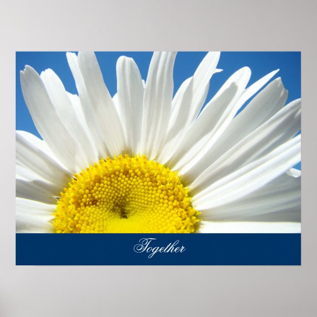 Kunstdrucke Inspiration White Daisy Blume Poster (Vorne)