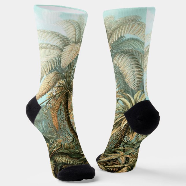 Kunstformen der Natur, Filicinae - Ernst Haeckel Socken (Gewinkelt)