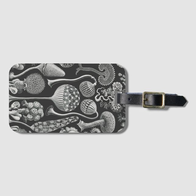 Kunstformen Gepäckanhänger (Vorderseite (Horizontal))