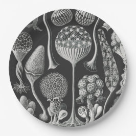 Kunstformen Pappteller