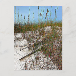 Kunstgeschenke von Clearwater Beach Florida Postkarte