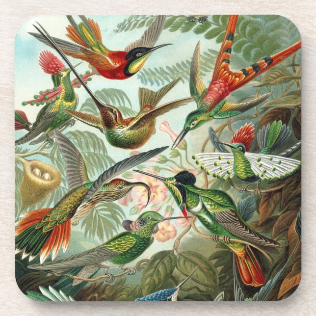 Kunsthandwerk Hummingvögel - Kunstformen der Natur Getränkeuntersetzer (Vorderseite)