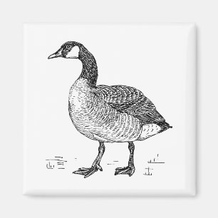 Kunsthandwerk Kanadische Gänse Zeichnend Natur Magnet