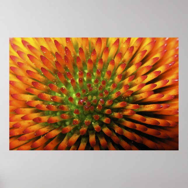 Kunsthandwerk von Nature's Candy Corn Poster (Vorne)