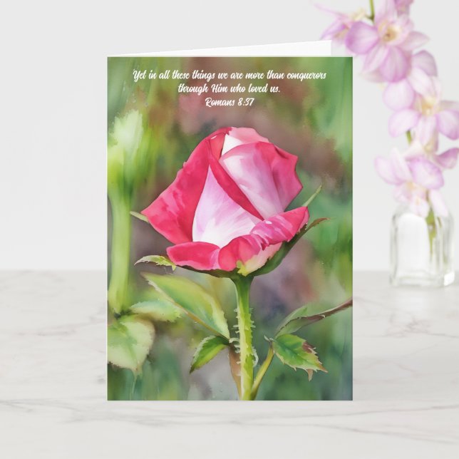 Kunsthistorische Karte für große und rosa Rose (Orchidee)