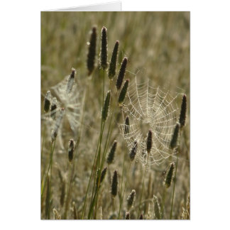 Künstler der Natur