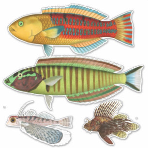 Künstlerimpression Tropischer Fisch Illustration V Aufkleber