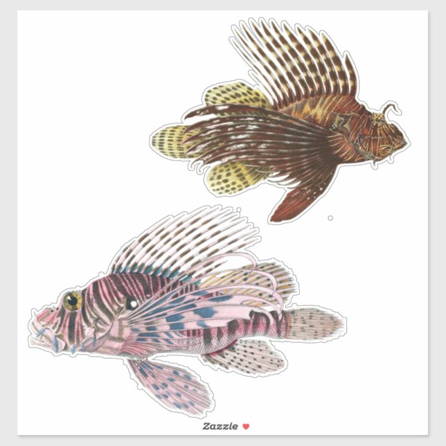Künstlerimpression Tropischer Fisch Illustration V Aufkleber (Blatt)