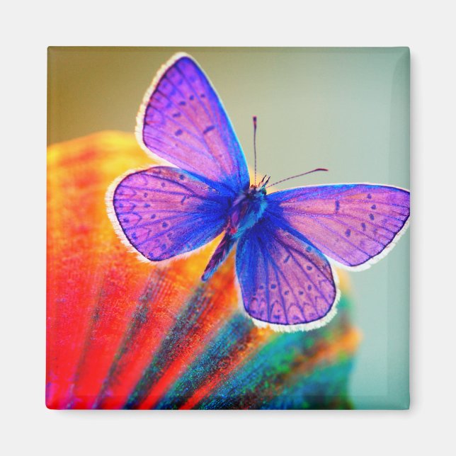 Künstlerisch Butterfly Magnet (Vorne)