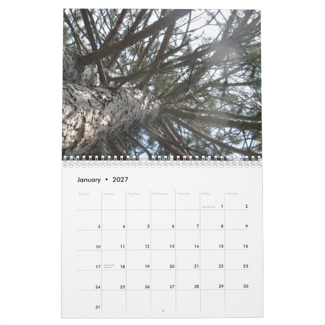 künstlerisch kalender (Jan 2027)