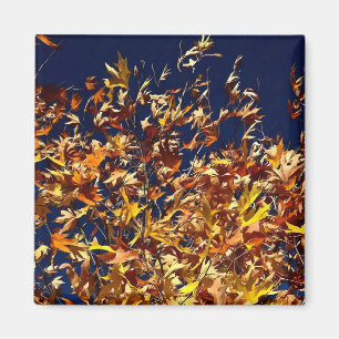 Künstlerische Herbstlaube gegen den "Deep Blue Sky Magnet