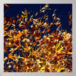 Künstlerische Herbstlaube gegen den "Deep Blue Sky Poster