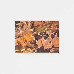 Künstlerische Herbstlaube im Herbst Sonnenschein 2 Post-it Klebezettel