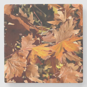 Künstlerische Herbstlaube im Herbst Sonnenschein Steinuntersetzer