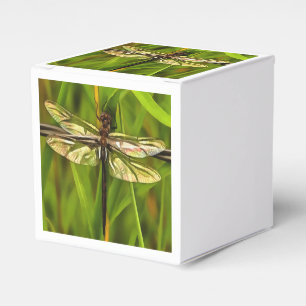 Künstlerische Libelle in Braun und Gelb auf Grün Geschenkschachtel