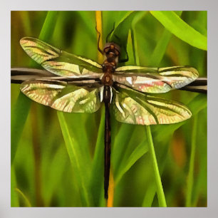Künstlerische Libelle in Braun und Gelb auf Grün Poster