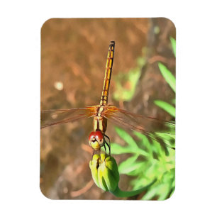 Künstlerische Libellenruhe auf einer Blume Magnet