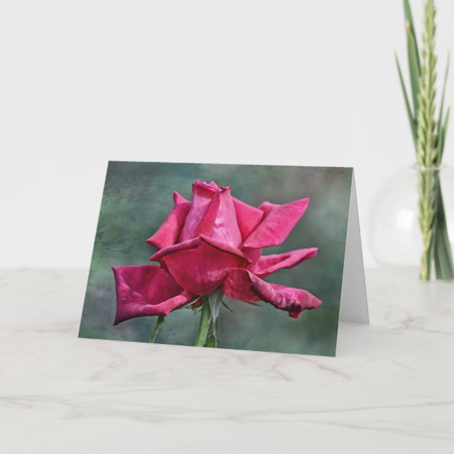 Künstlerische Rosa Rosa-Rosa-Kunstausgabe Karte (Vorderseite)