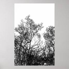 Künstlerische Schwarz-Weiß-Baum-Moderne Poster