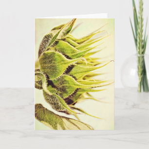 Künstlerische Sonnenblumenprofil Kunstkarte Karte
