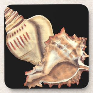 Künstlerische Tritonshorn-Muscheln Getränkeuntersetzer