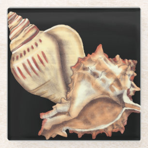 Künstlerische Tritonshorn-Muscheln Glasuntersetzer