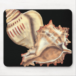 Künstlerische Tritonshorn-Muscheln Mousepad