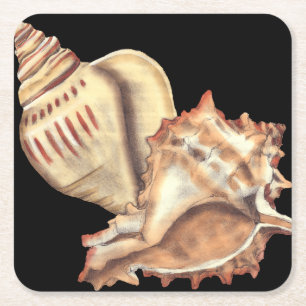 Künstlerische Tritonshorn-Muscheln Rechteckiger Pappuntersetzer