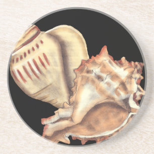 Künstlerische Tritonshorn-Muscheln Sandstein Untersetzer