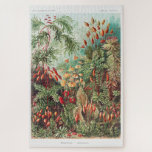Künstlerische Vintage Illustration Natur Ernst Hae<br><div class="desc">Vintage KunstIllustration Natur Ernst Haeckel Puzzle</div>