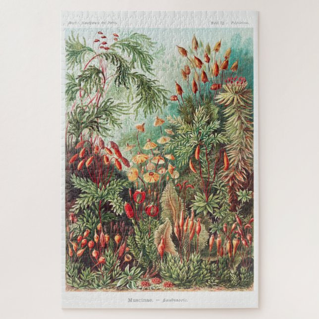 Künstlerische Vintage Illustration Natur Ernst Hae (Vertikal)