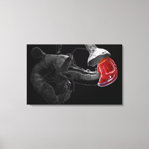 Künstlerische Wiedergabe 3d der Milz Leinwanddruck