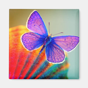 Künstlerischer Schmetterling Magnet