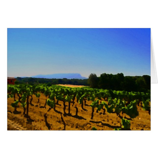 Künstlerischer Weingarten, S Cyr (Vorderseite (Horizontal))