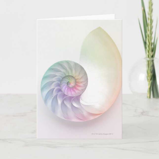 Künstlerisches farbiges Nautilusbild Karte (Vorderseite)