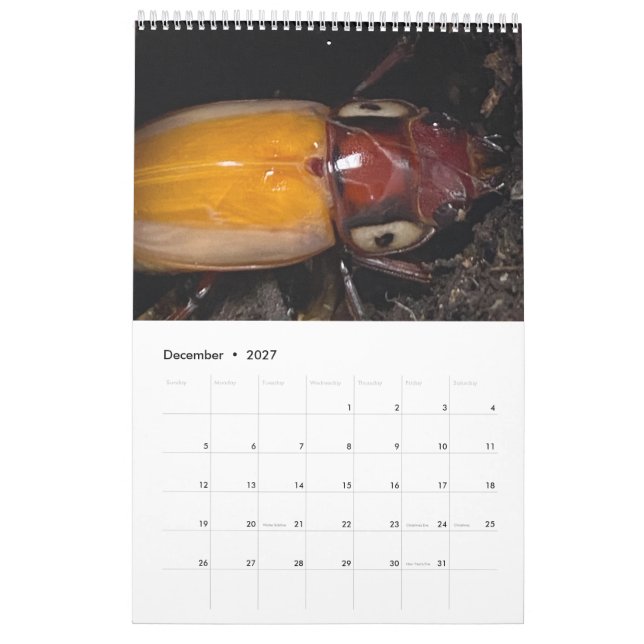 Künstlerisches Foto Kalender (Dez 2027)