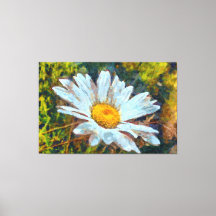 Künstlerisches Nah Up a Marguerite Daisy Blume