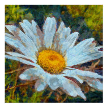 Künstlerisches Nah Up a Marguerite Daisy Blume
