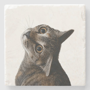 Künstlerisches Tabby-Katzenporträt-Foto Steinuntersetzer