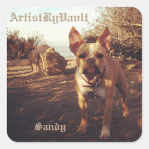 KünstlerRyVavlt Sandy Sticker
