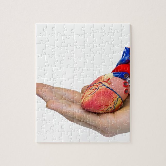 Künstliches menschliches Herzmodell an Hand (Vertikal)