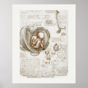 KUNSTPLAKAT: LEONARDO DA VINCI: STUDIE 1510 - 1513 POSTER