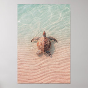 Kunstprint mit Meeresschildkröte, Küste und Ozean Poster